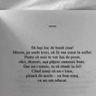 Florea Catalin