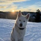 Nnabuife Arinze johnmaryvianney