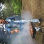 Neset