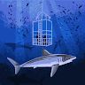 Edwin Calvin