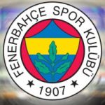 Sarı Lacivert