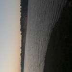 Tunahan serbest