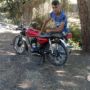 ali turtur