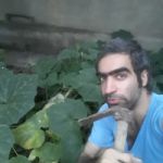 Purya Darai