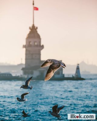 ⁣“Yerin seni çektiği kadar ağırsın,
kanatların çırpındığı kadar hafif..
Kalbinin attığı kadar canlısın,
gözlerinin uzağı gördüğü kadar genç…
Sevdiklerin kadar iyisin,
nefret ettiklerin kadar kötü..
Ne renk olursa olsun kaşın gözün,
karşındakinin gördüğüdür rengin..”