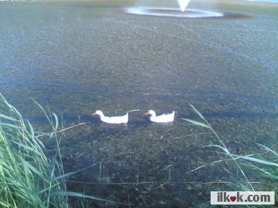 Birine  batak  gibi  görünen  ortam ,  bazıları  için  mutluluğun  yaşandığı  yerdir.