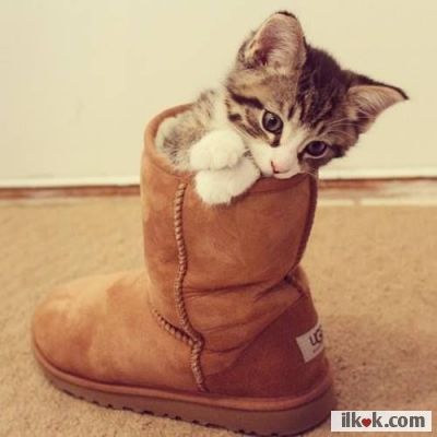 Pamuğum çok tatlıı :heart1: