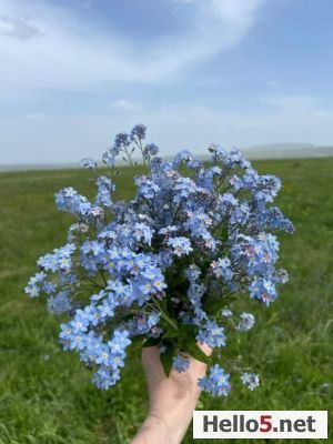 Viata e mai frumoasa cand o iubeşti :)