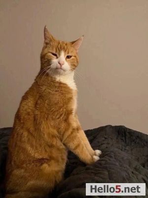 What is wrong with you bro