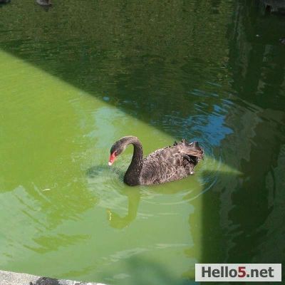 Be your own kind of beautiful.