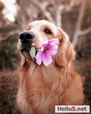 Love has the be shown by deeds not words!