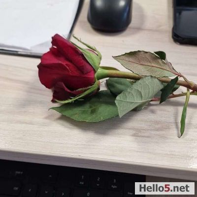 Bir kişiyi sevmek çok kolay, vazgeçmek ise çok zordur.