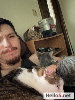 my name is Andrei and I'm a Cat Lover.