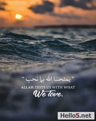 do you agree it? for my life it is absoultly true!