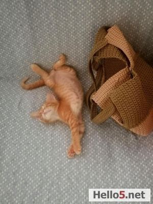 Good morning - Buenas días - Günaydın - Dobroe ultra - Bună dimineața