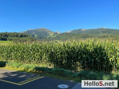 My beautiful 🌹 home ☺️❤️❤️