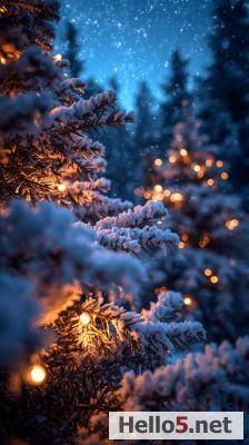 winter lights