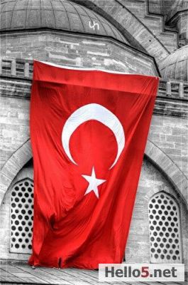 My country is Turkey, and it is a very special place. Turkey is like a big bridge that connects two continents, Europe and Asia. This makes it very unique because people from different parts of the world come to visit and learn about our culture.