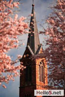 It is the holy Church