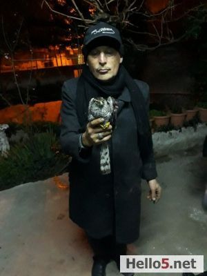 Sevgili komşum, Necdet abim geçen yıl Şahin yakalamıştı. Kanadı kırıkdı iyileştirmeye çalıştı besledi. Sonra şahin öldü geçen sene kendide ben yurtdışındayken ölmüş. Allah rahmet eylesin. Yeri cennet olsun. Gidenlerin yeri doldurulmuyor.