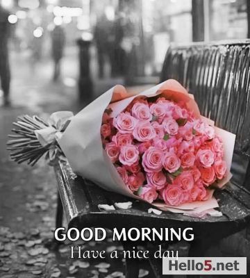 Good morning, Have a beautiful sunday. #goodmorning #weekend #beautiful #flowers