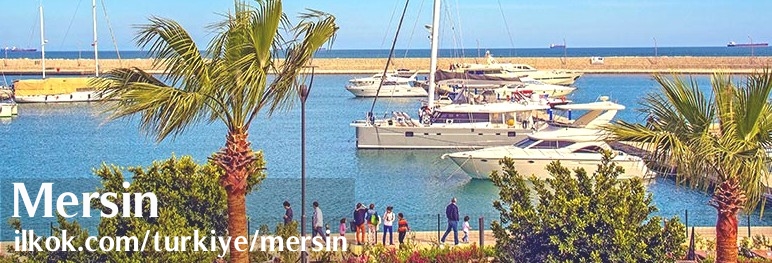 Mersin arkadaşlık